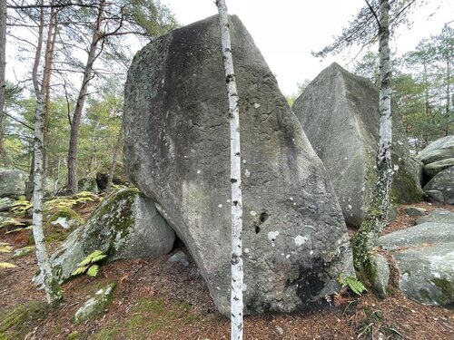 Image of Lisse en Cieux (7a)